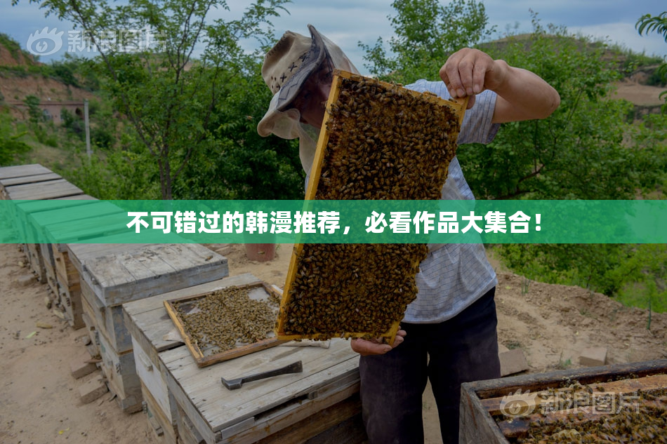 不可错过的韩漫推荐，必看作品大集合！