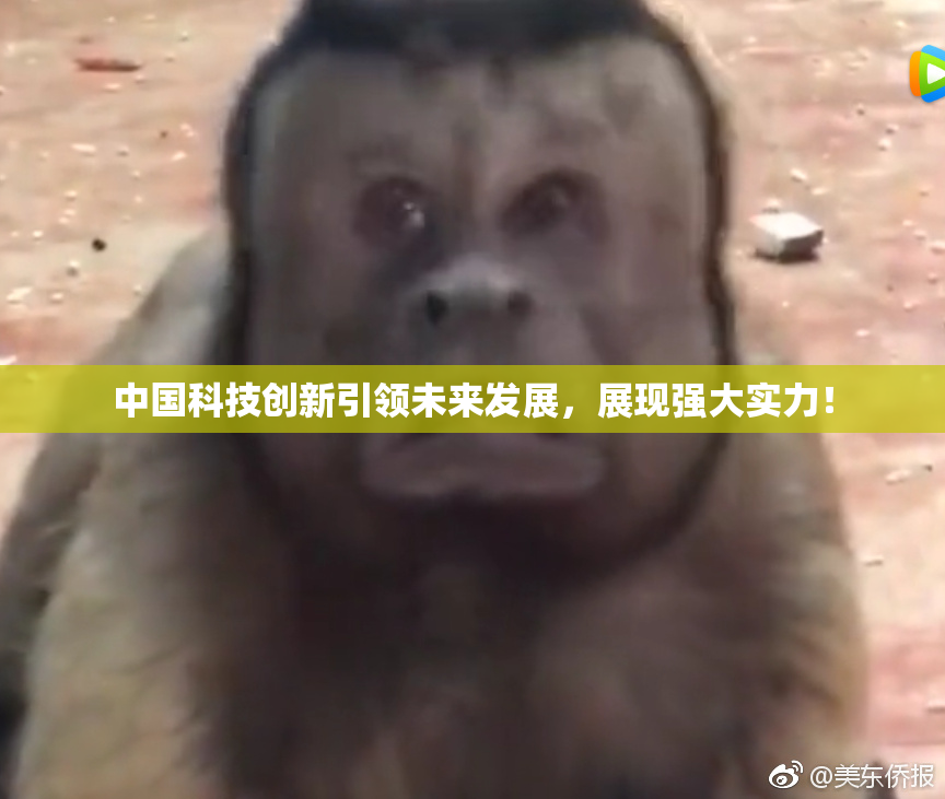 中国科技创新引领未来发展，展现强大实力！