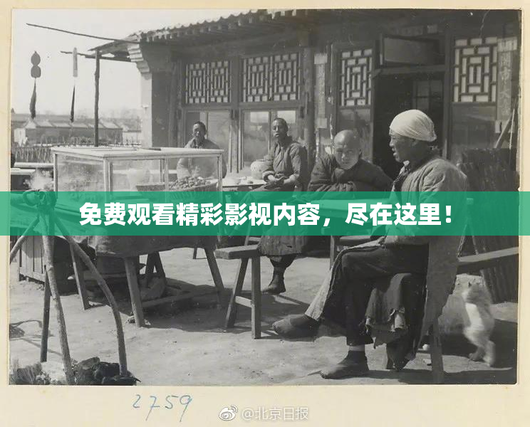 免费观看精彩影视内容，尽在这里！