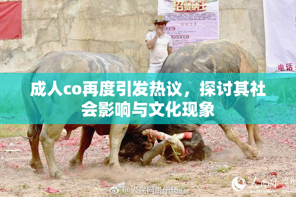 成人co再度引发热议，探讨其社会影响与文化现象