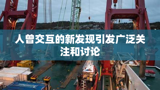 人曾交互的新发现引发广泛关注和讨论
