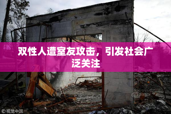 双性人遭室友攻击，引发社会广泛关注
