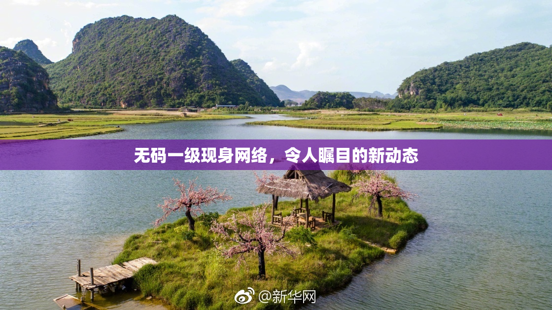 无码一级现身网络，令人瞩目的新动态
