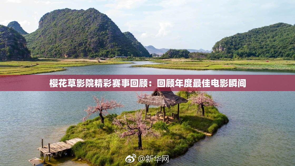樱花草影院精彩赛事回顾：回顾年度最佳电影瞬间