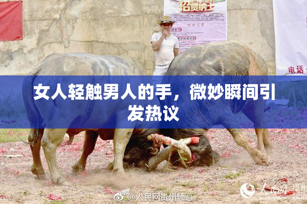 女人轻触男人的手，微妙瞬间引发热议
