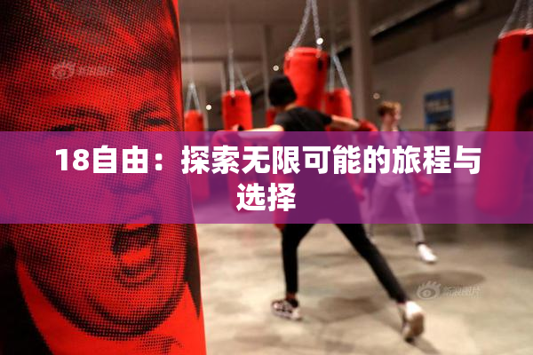 18自由：探索无限可能的旅程与选择