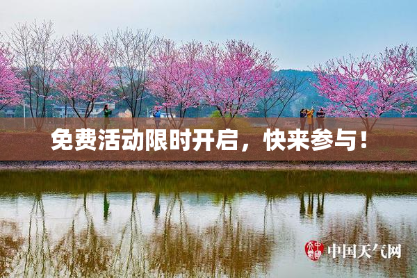 免费活动限时开启，快来参与！