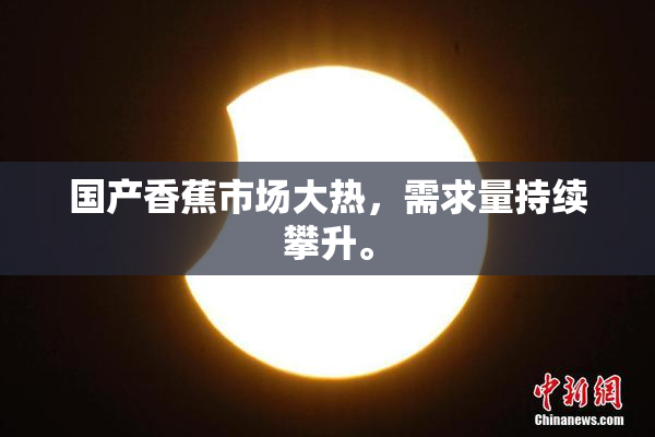 国产香蕉市场大热，需求量持续攀升。
