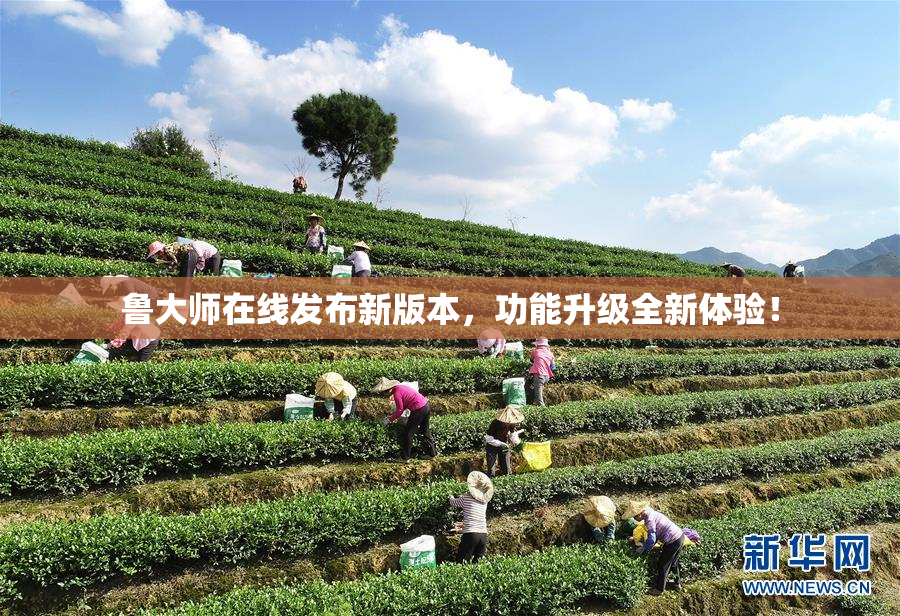 鲁大师在线发布新版本，功能升级全新体验！