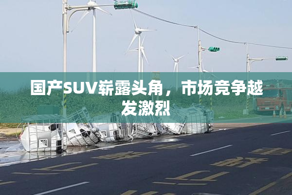 国产SUV崭露头角，市场竞争越发激烈