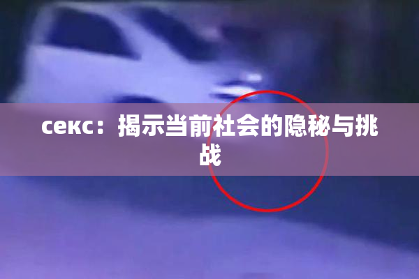 ceкс：揭示当前社会的隐秘与挑战