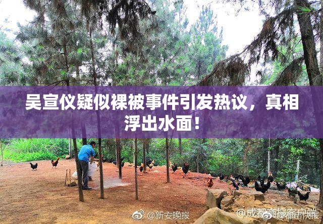 吴宣仪疑似裸被事件引发热议，真相浮出水面！