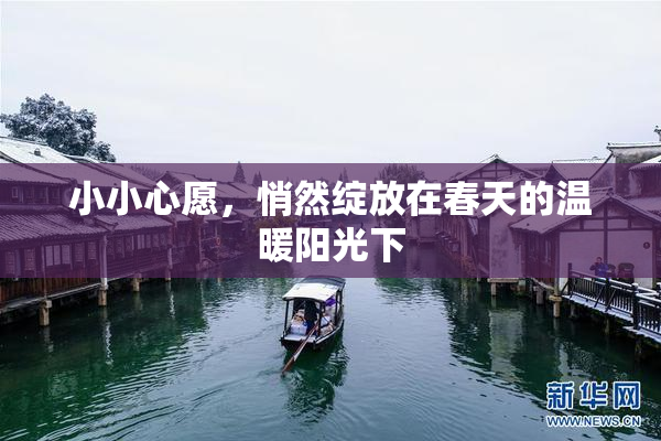 小小心愿，悄然绽放在春天的温暖阳光下