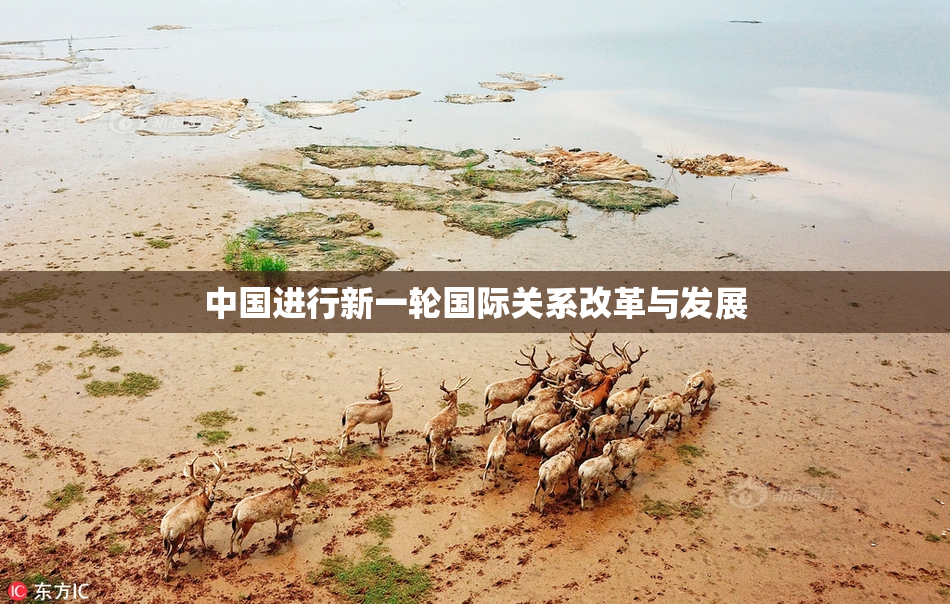 中国进行新一轮国际关系改革与发展