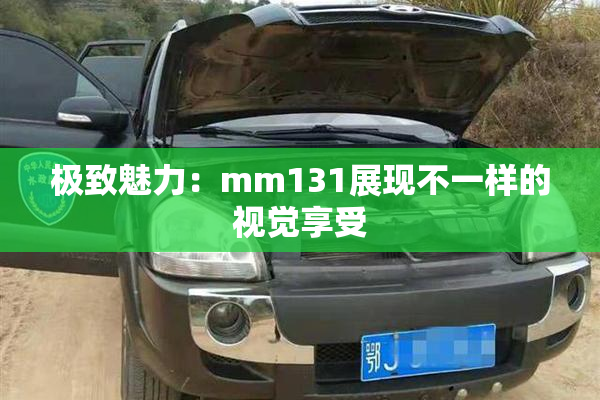 极致魅力：mm131展现不一样的视觉享受