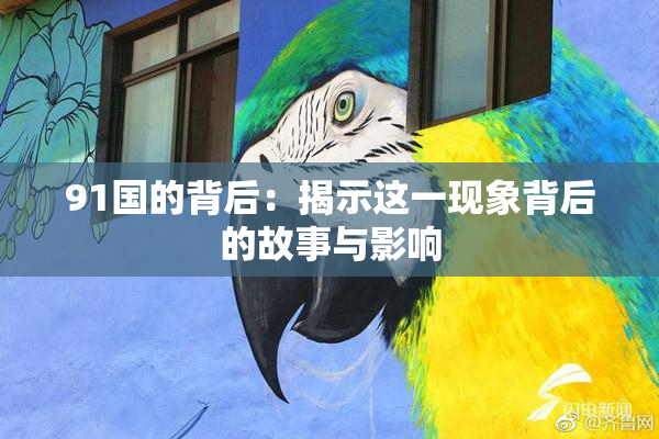 91国的背后：揭示这一现象背后的故事与影响