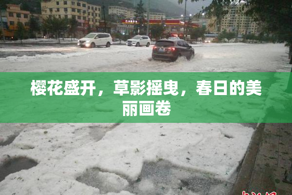 樱花盛开，草影摇曳，春日的美丽画卷