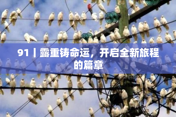 91丨露重铸命运，开启全新旅程的篇章