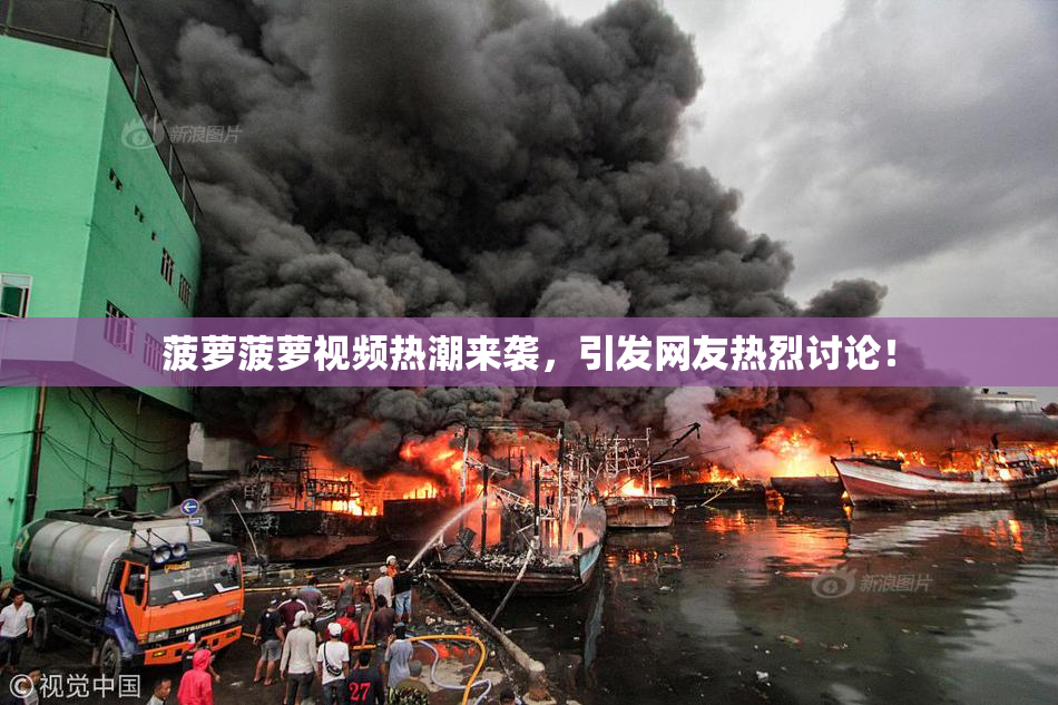 菠萝菠萝视频热潮来袭，引发网友热烈讨论！