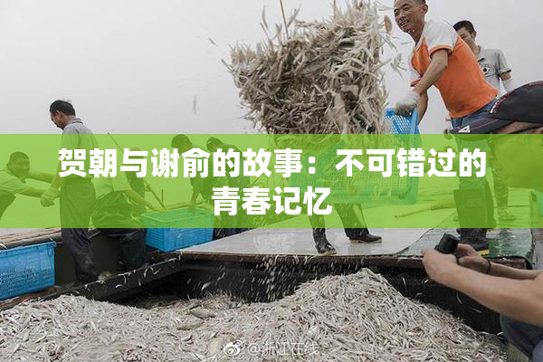 贺朝与谢俞的故事：不可错过的青春记忆