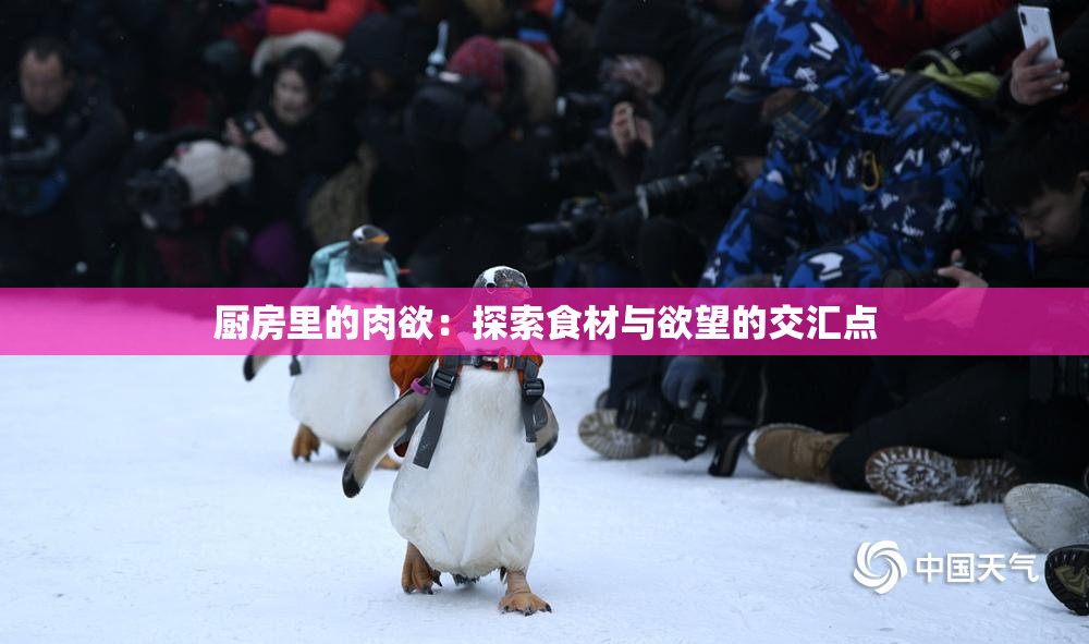 厨房里的肉欲：探索食材与欲望的交汇点