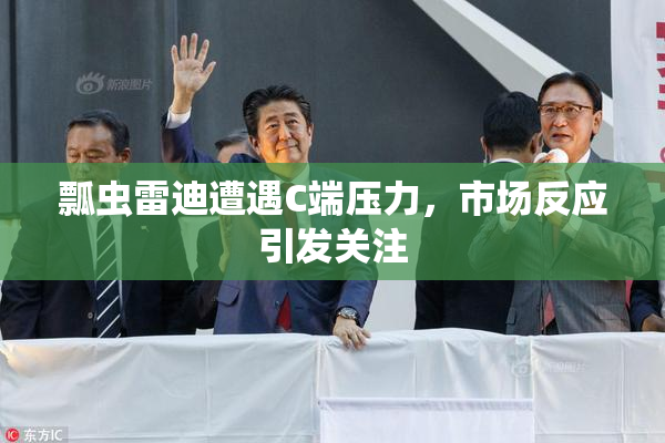 瓢虫雷迪遭遇C端压力，市场反应引发关注