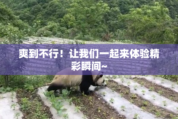 爽到不行！让我们一起来体验精彩瞬间~