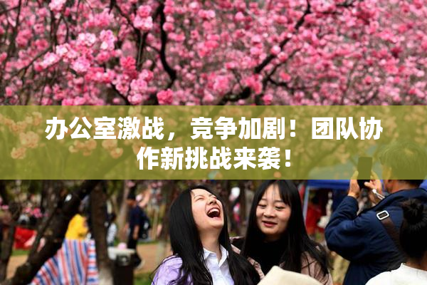办公室激战，竞争加剧！团队协作新挑战来袭！