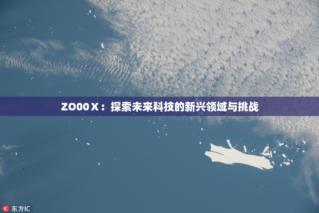 ZO00Ⅹ：探索未来科技的新兴领域与挑战