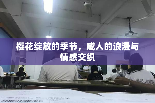 樱花绽放的季节，成人的浪漫与情感交织
