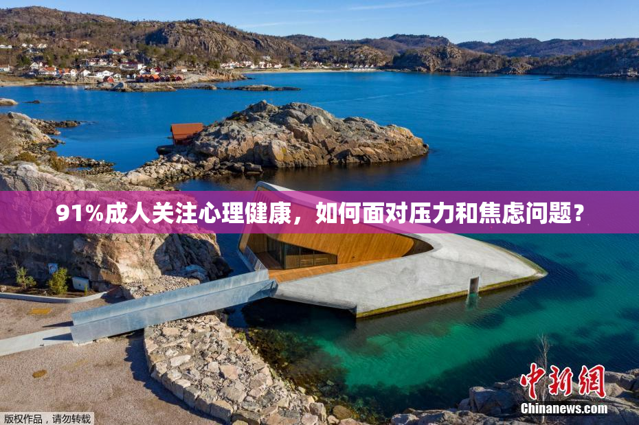 91%成人关注心理健康，如何面对压力和焦虑问题？