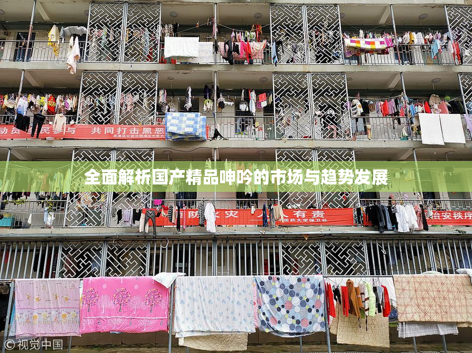 全面解析国产精品呻吟的市场与趋势发展