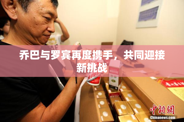 乔巴与罗宾再度携手，共同迎接新挑战