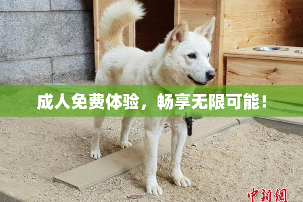 成人免费体验，畅享无限可能！