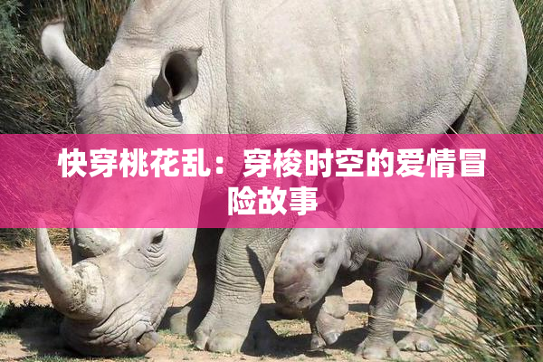 快穿桃花乱：穿梭时空的爱情冒险故事