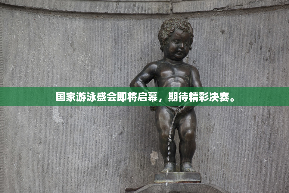 国家游泳盛会即将启幕，期待精彩决赛。
