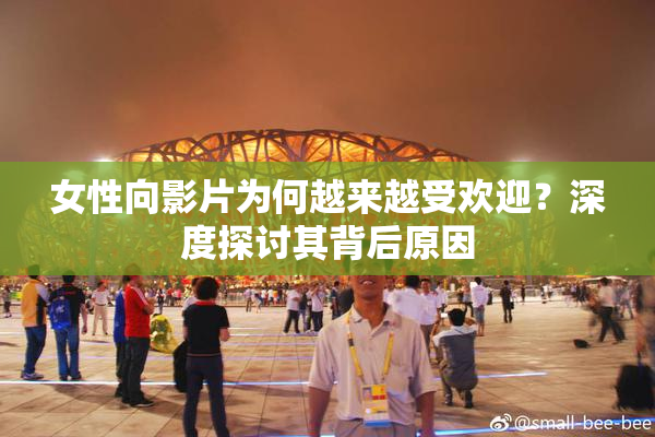 女性向影片为何越来越受欢迎？深度探讨其背后原因