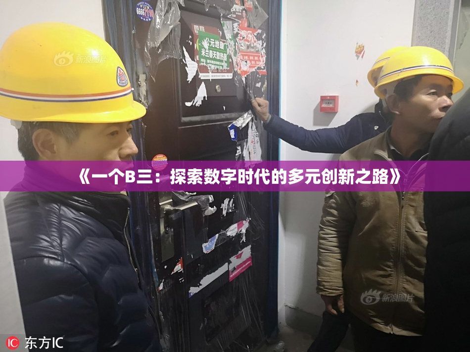 《一个B三：探索数字时代的多元创新之路》