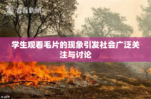 学生观看毛片的现象引发社会广泛关注与讨论