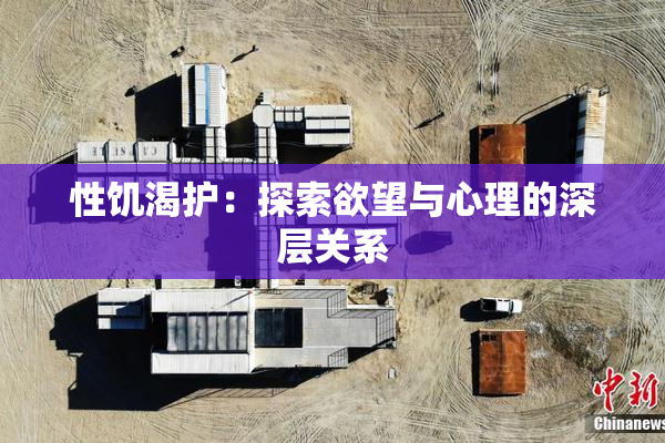 性饥渴护：探索欲望与心理的深层关系