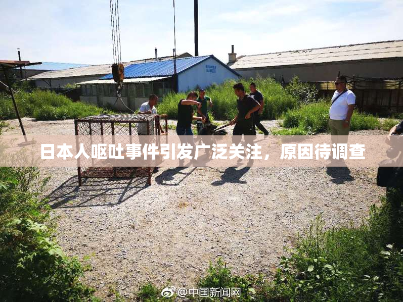日本人呕吐事件引发广泛关注，原因待调查