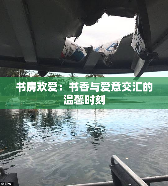 书房欢爱：书香与爱意交汇的温馨时刻