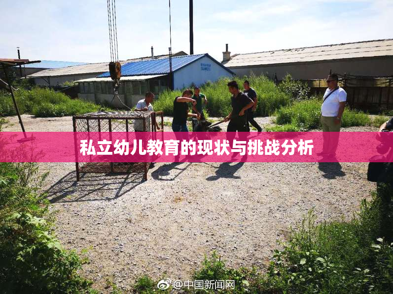 私立幼儿教育的现状与挑战分析