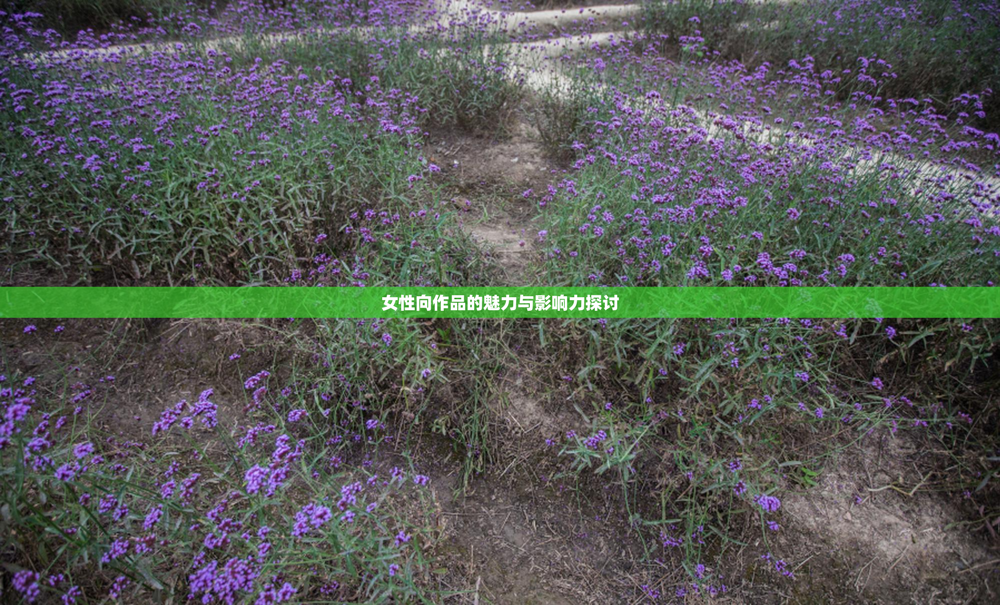 女性向作品的魅力与影响力探讨