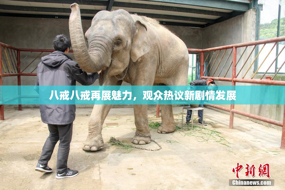 八戒八戒再展魅力，观众热议新剧情发展