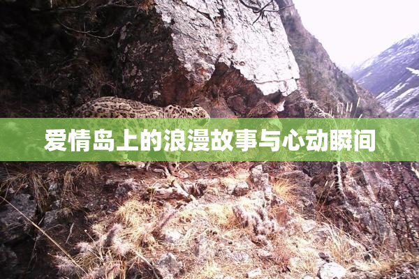 爱情岛上的浪漫故事与心动瞬间