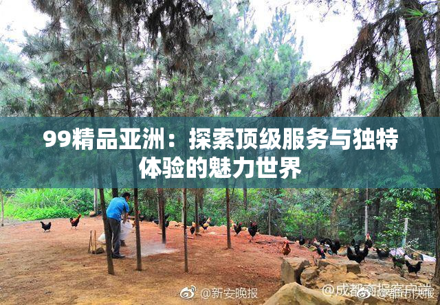 99精品亚洲：探索顶级服务与独特体验的魅力世界