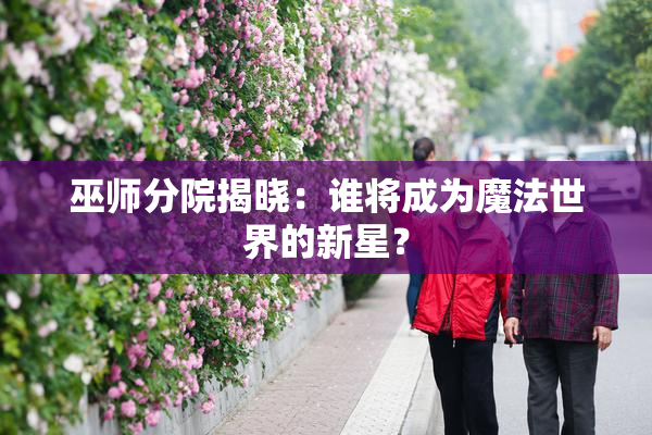 巫师分院揭晓：谁将成为魔法世界的新星？