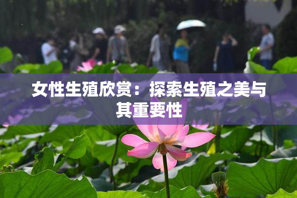 女性生殖欣赏：探索生殖之美与其重要性