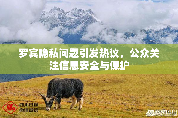 罗宾隐私问题引发热议，公众关注信息安全与保护